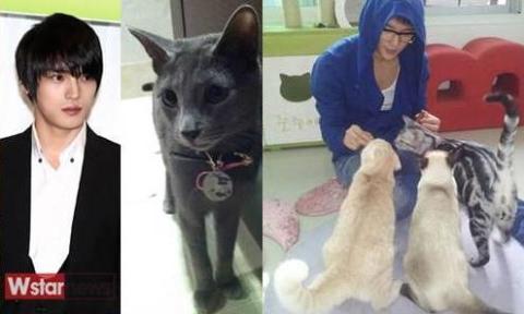 [News][090712]Park Si Hoo–Kim Jaejoong–Kim Junsu, những người yêu mèo Jaesucats